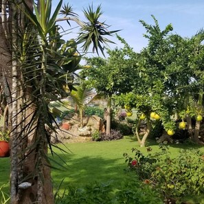 Jardin