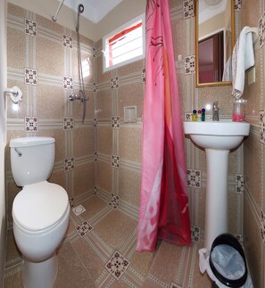 Shower, free toiletries, hair dryer, towels