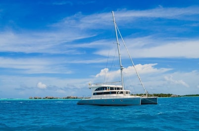 Maldives Dive Loabi