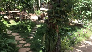 A garden with a stone pathway, a wooden table, and various plants. - Casa Las Artes (Trinidad)