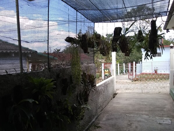 Jardim
