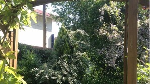 Una estructura de pérgola de madera en un jardín con follaje denso y un edificio al fondo.