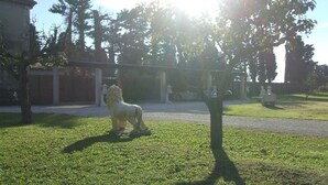 Property grounds - Mas des Retrouvailles (Chateaurenard)