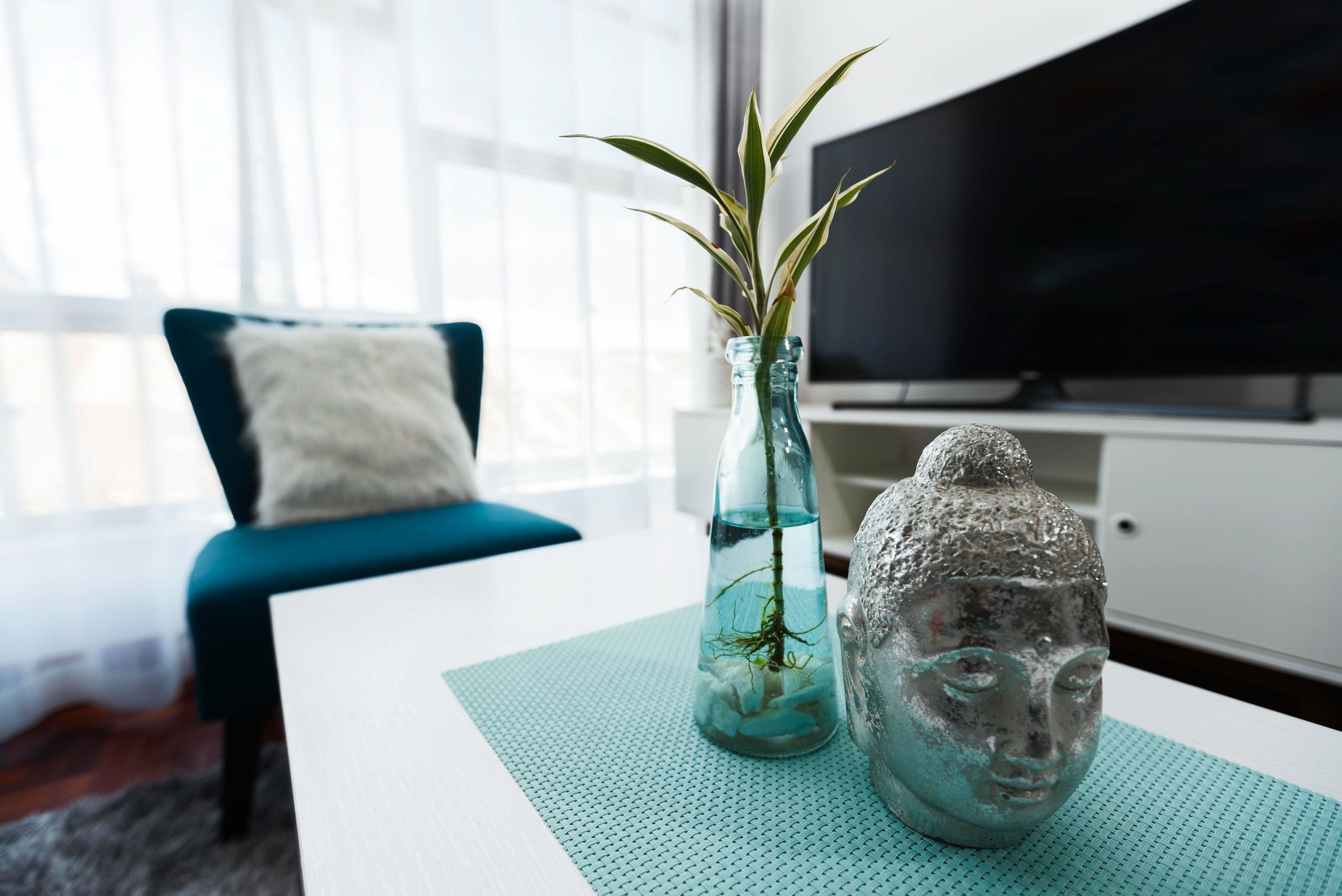 Flat-screen TV, pay films