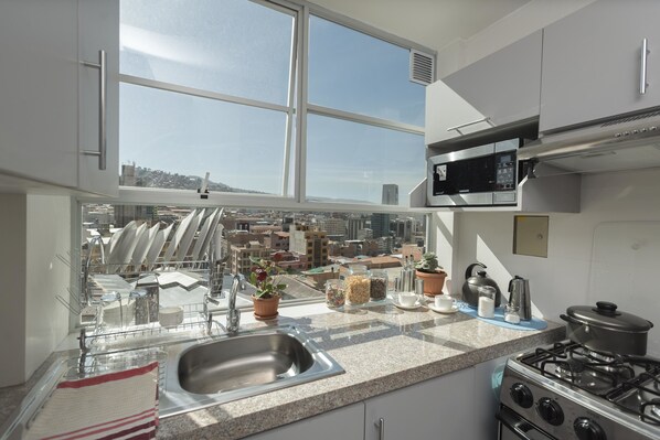 Großer Kühlschrank, Mikrowelle, Ofen, Herdplatte