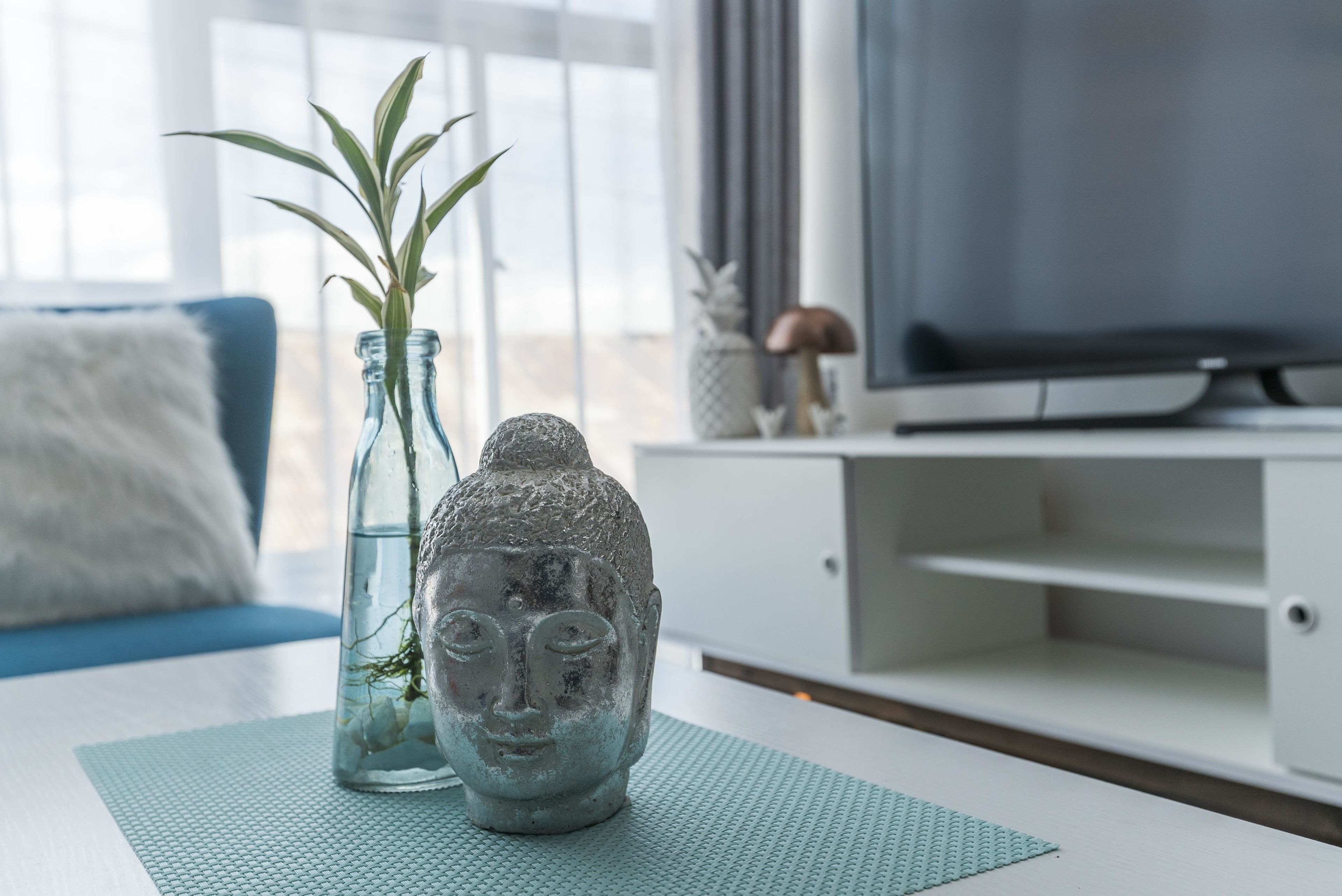 A room with a white entertainment unit, a glass vase with a plant, and a stone Buddha statue on a textured mat.