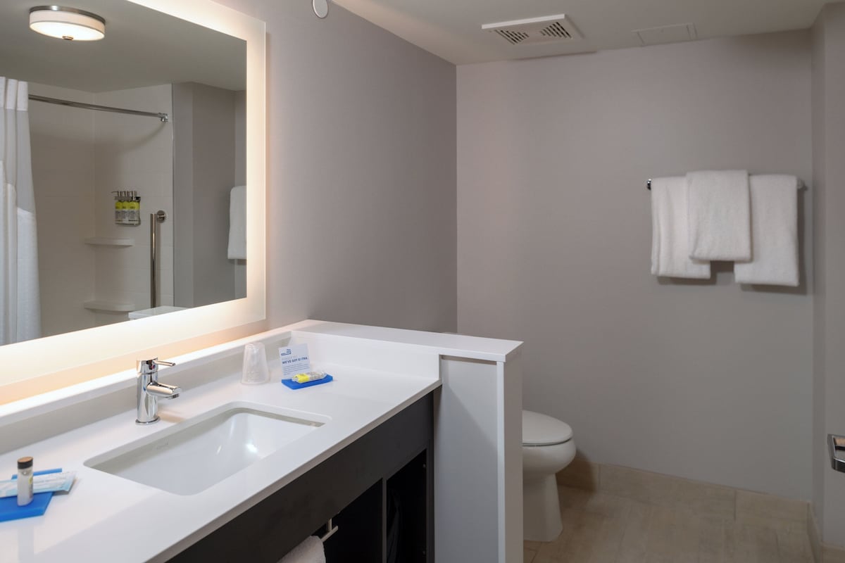 Een badkamer met een grote spiegel, twee wastafels, een toilet en een handdoekrek.