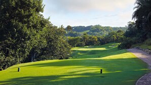 A golf course with a well-maintained green, a stone pathway, and dense foliage in the background. - San Lameer Villa Rentals 2204 (Southbroom)