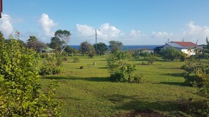 Vue depuis l’hébergement