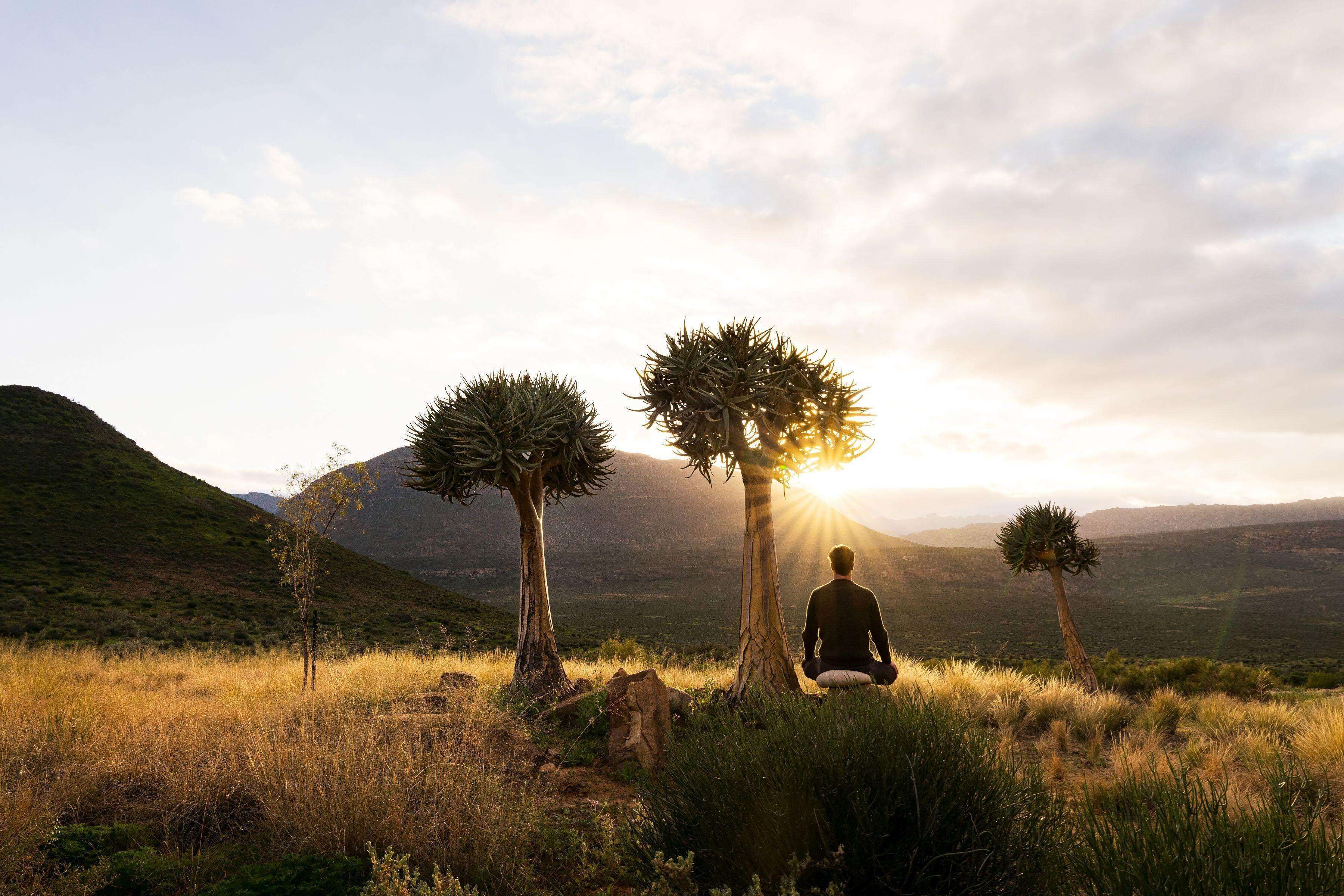 A person meditating in a natural landscape with three distinctive trees and a hilly background.