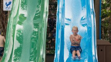 A water slide with two separate lanes, one green and one blue, in a pool area surrounded by wooden structures and greenery.