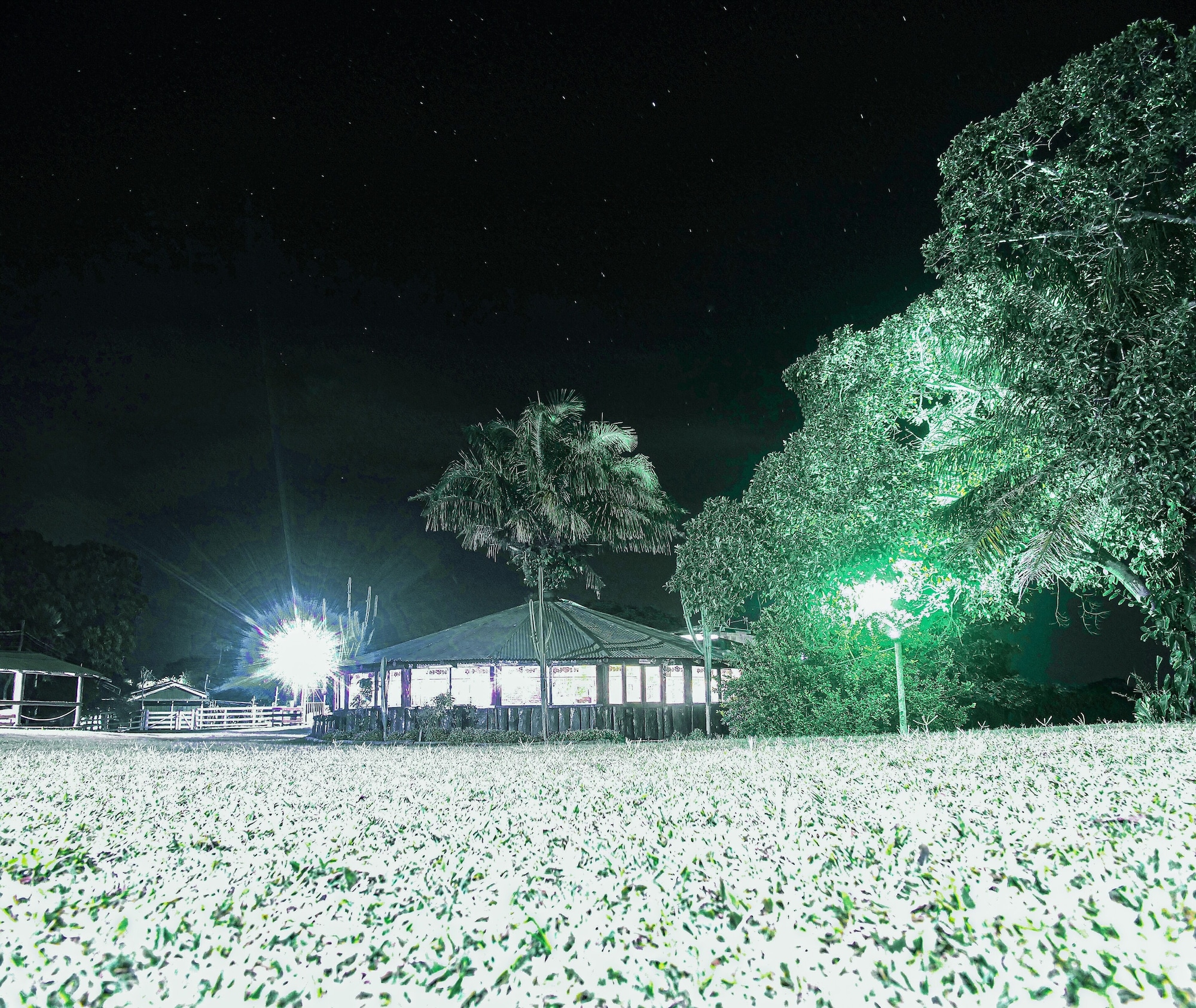 3์ฑ๊ธ ํธํ
