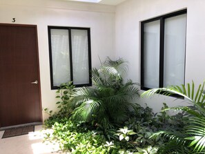A room with a wooden door, frosted glass windows, and a variety of indoor plants.