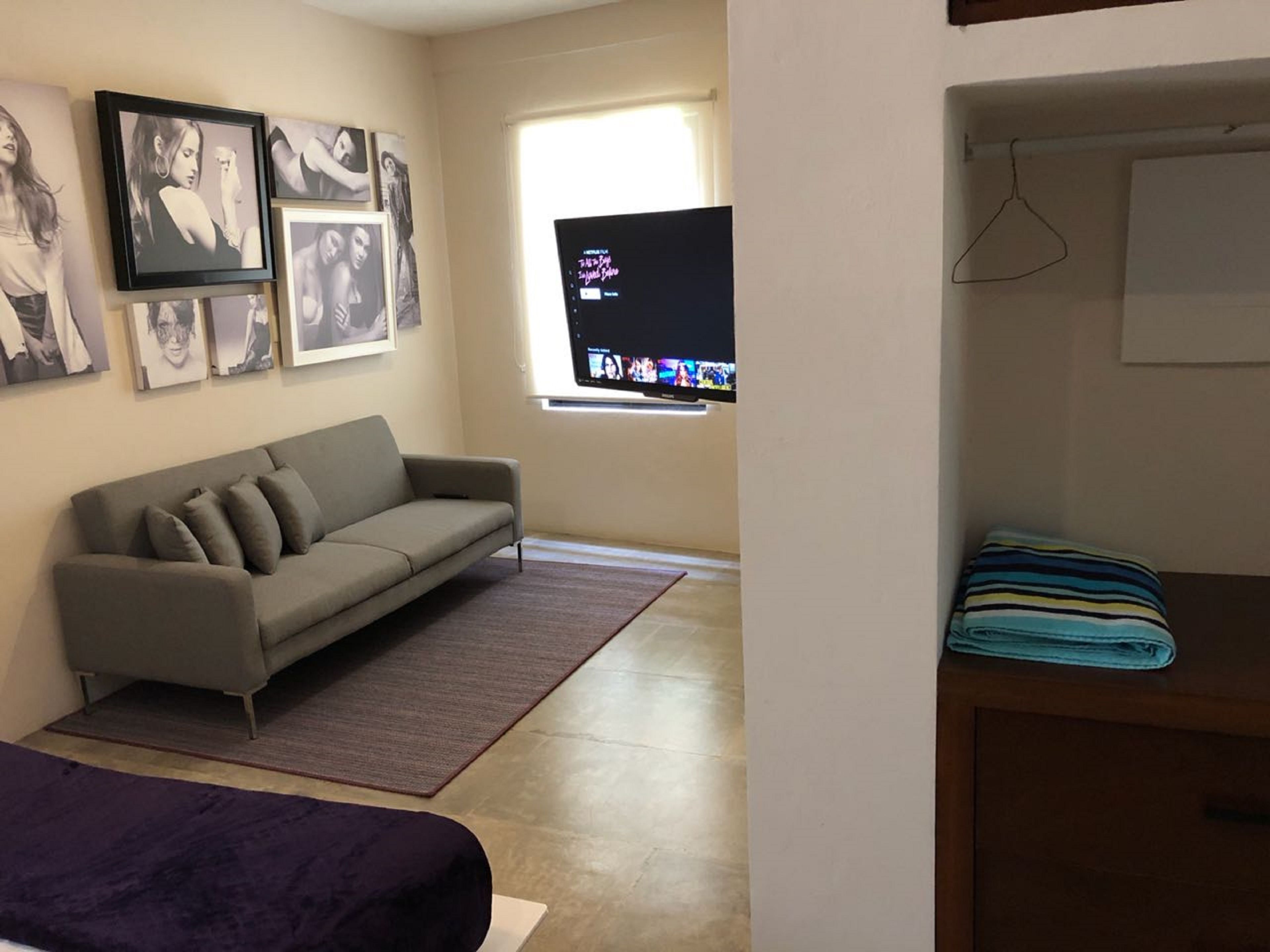A living room with a grey sofa, a small rug, and a window with a TV displaying a program.