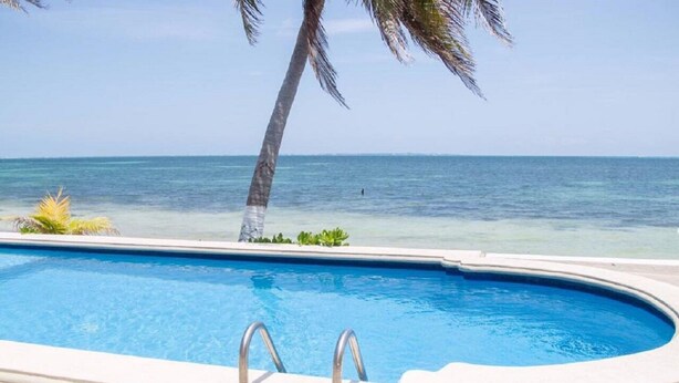 A swimming pool with a view of the ocean and a palm tree. - Flamingo Beach Plus (Cancun)