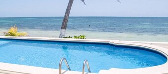 Flamingo Beach Plus