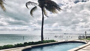 A swimming pool with a view of the ocean and a palm tree. - Flamingo Beach Plus (Cancun)