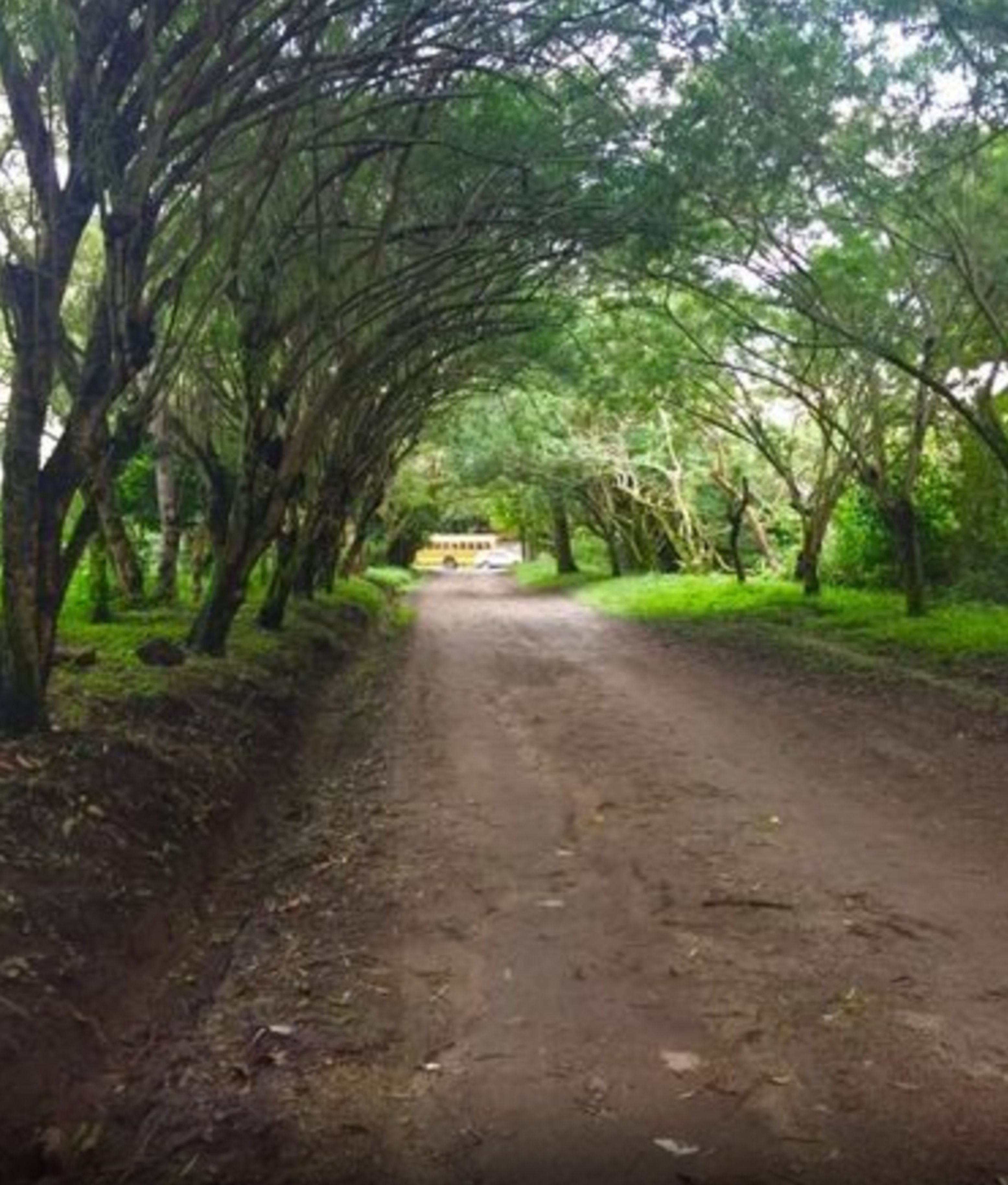 Photo - Refugio de la Montaña B&B