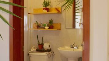 Une salle de bain équipée de toilettes, d’un lavabo et d’étagères en bois où sont disposées des plantes et des articles de toilette.