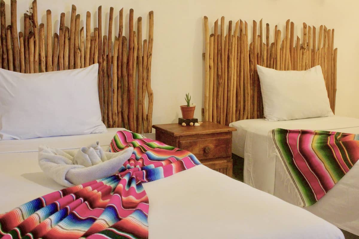 Une chambre d’hôtel avec deux lits, une tête de lit en bois, une petite table de chevet en bois ornée d’une plante en pot, et une couverture colorée sur l’un des lits.