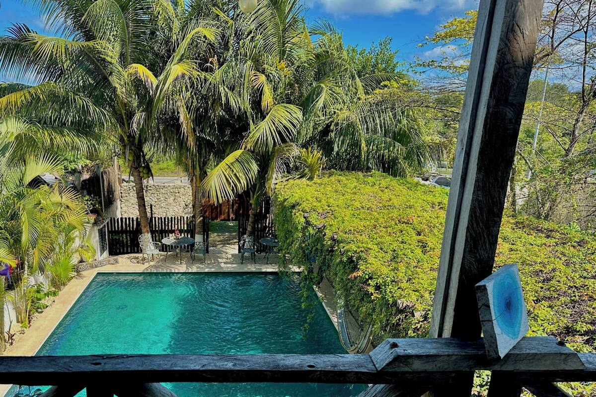 Une piscine entourée d’une végétation luxuriante et d’un mur de pierre.