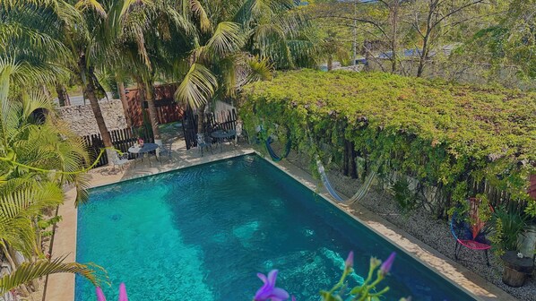Una piscina rodeada de abundante vegetación, con palmeras y enredaderas.