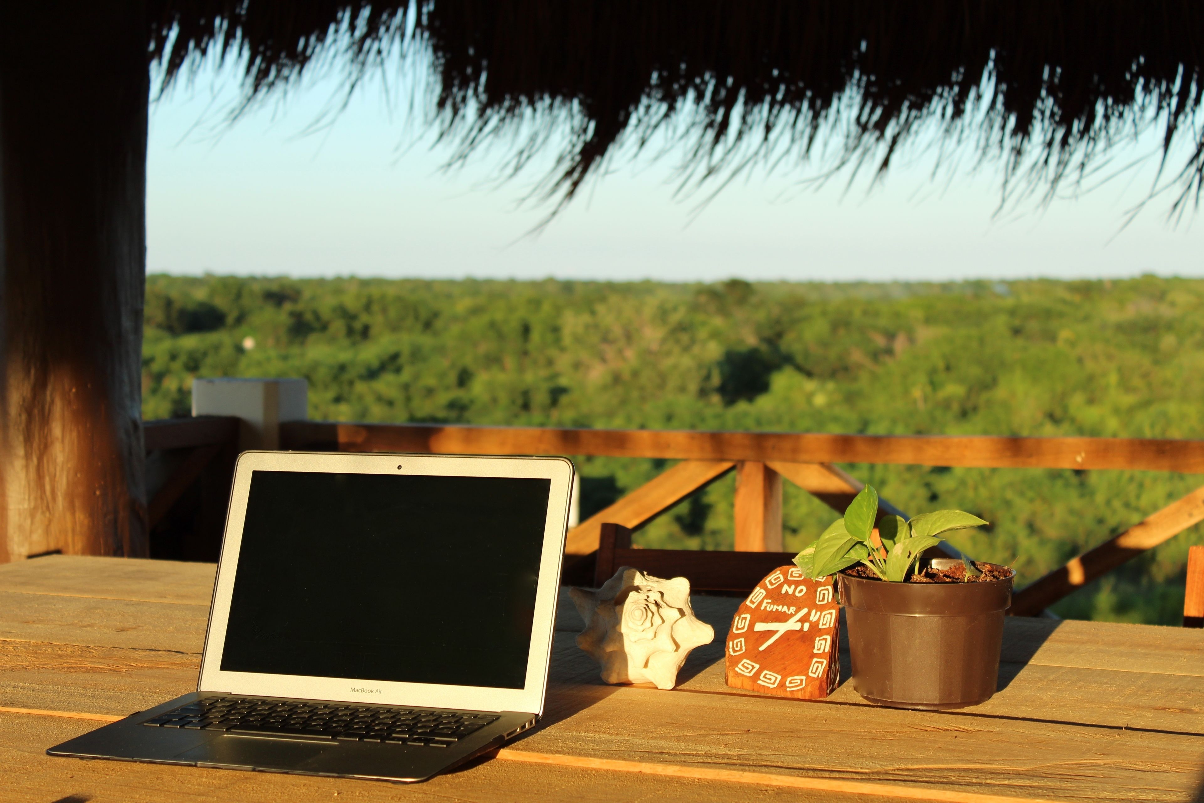 A laptop on a wooden table with a potted plant and a decorative item.