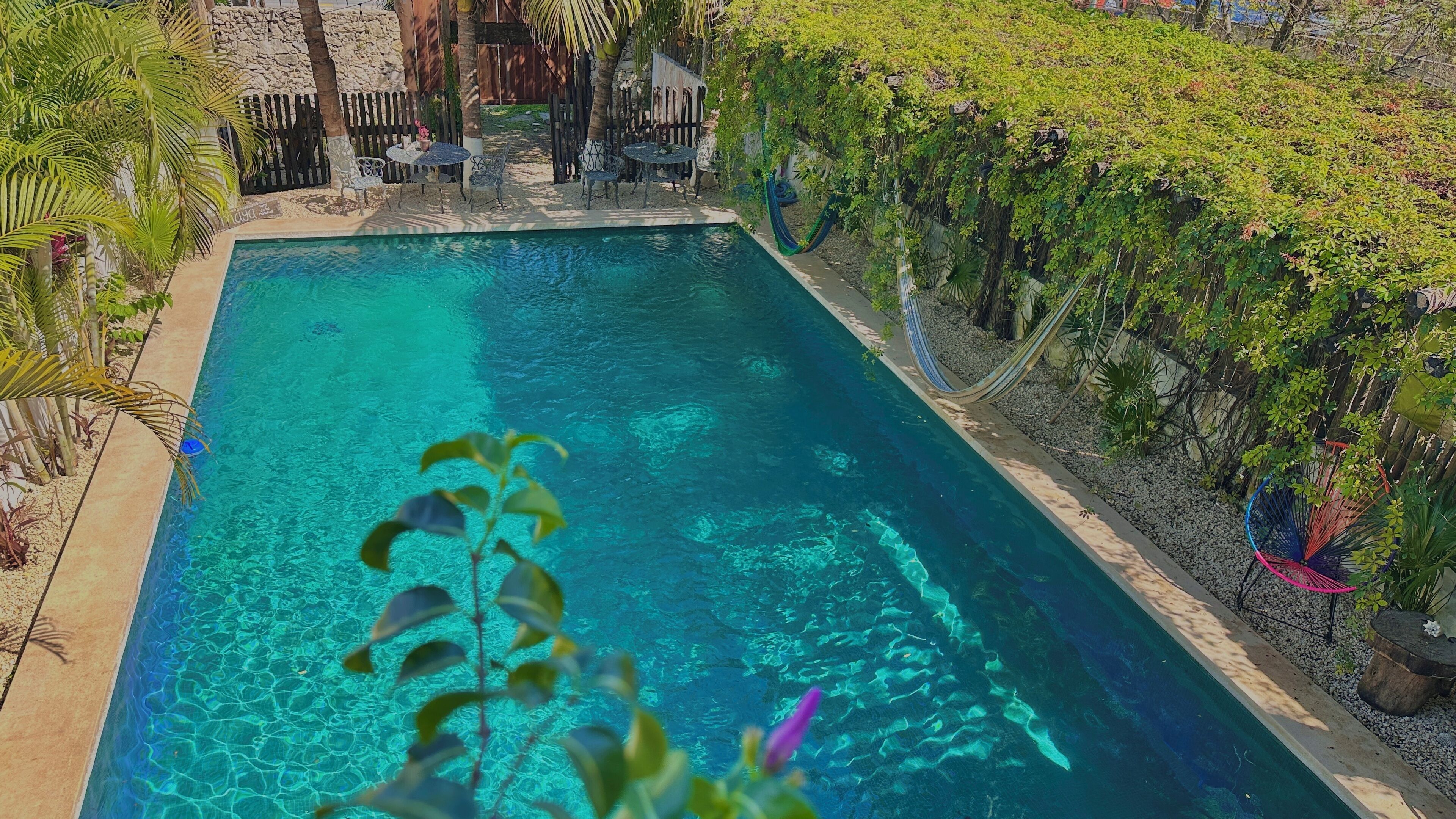 A rectangular pool with clear water, surrounded by a stone wall and lush greenery.