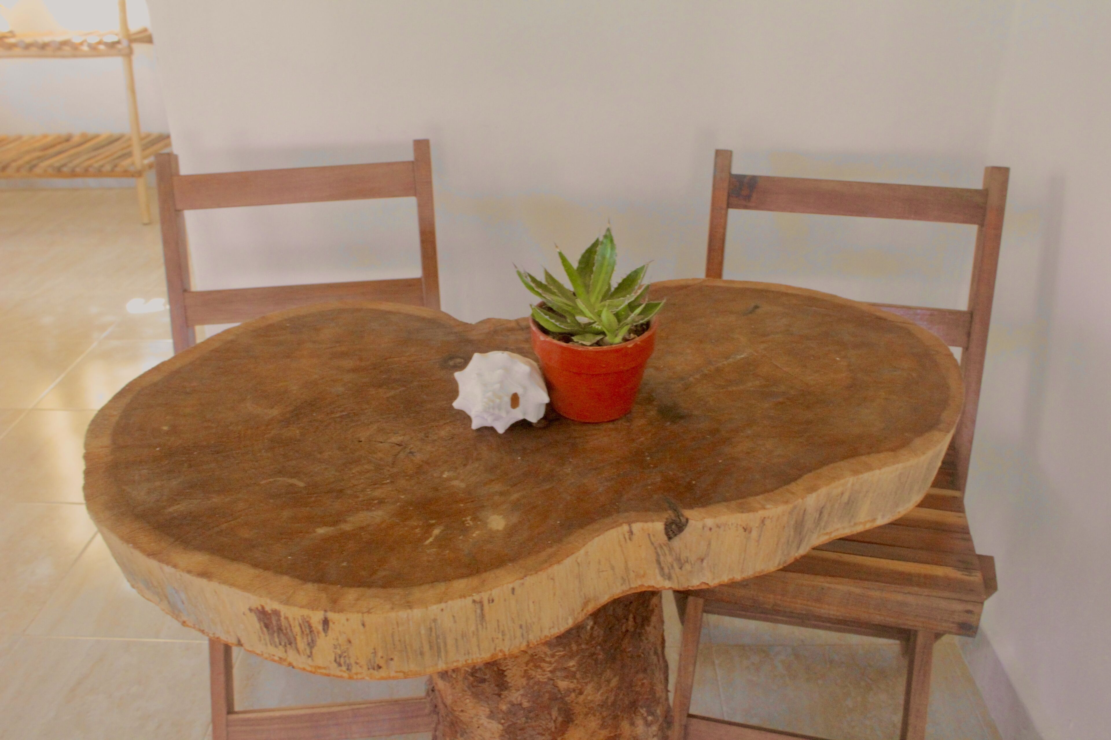 Photo - Hotel Jaiba Mahahual - Adults Only