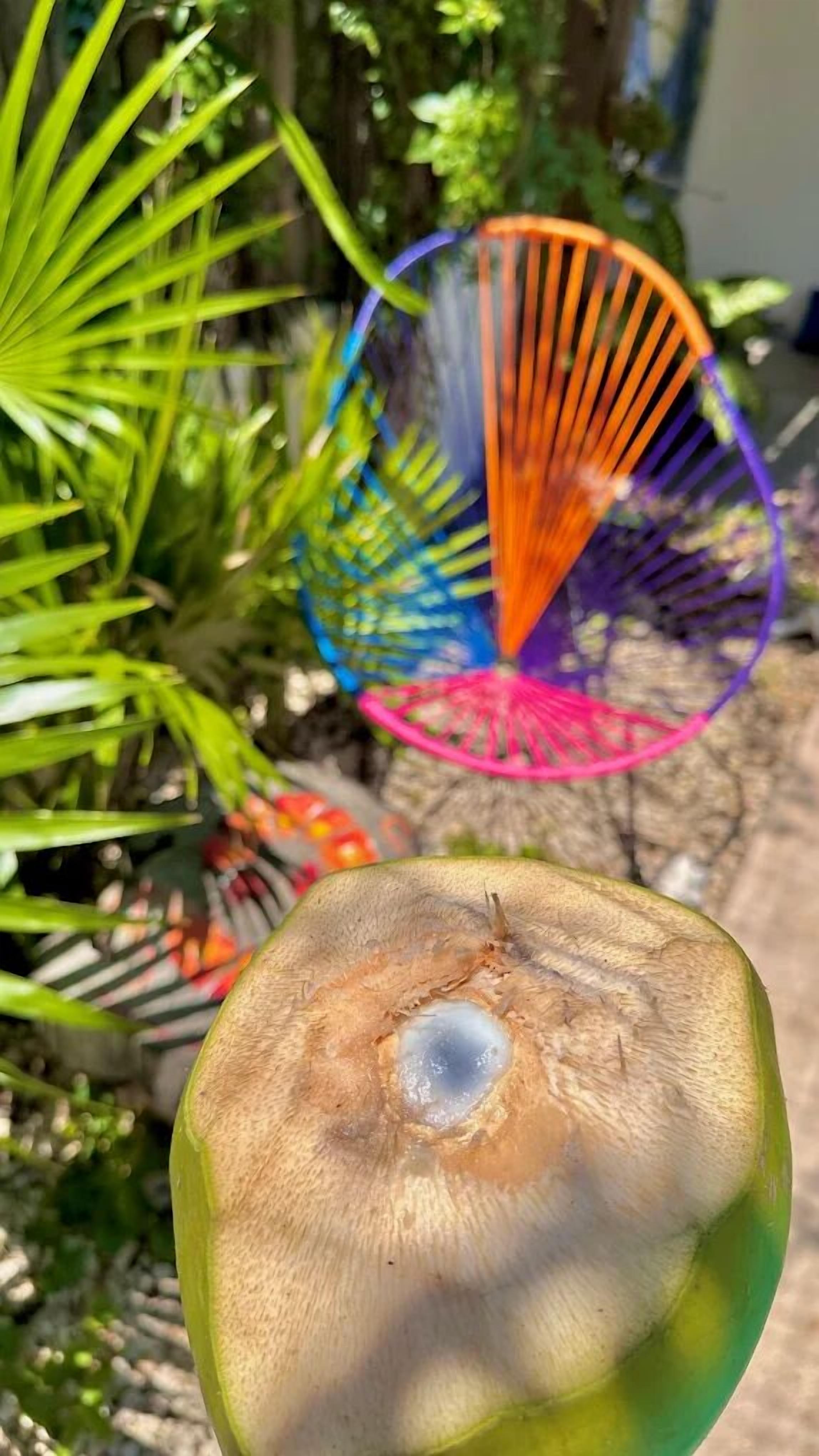 Photo - Hotel Jaiba Mahahual - Adults Only