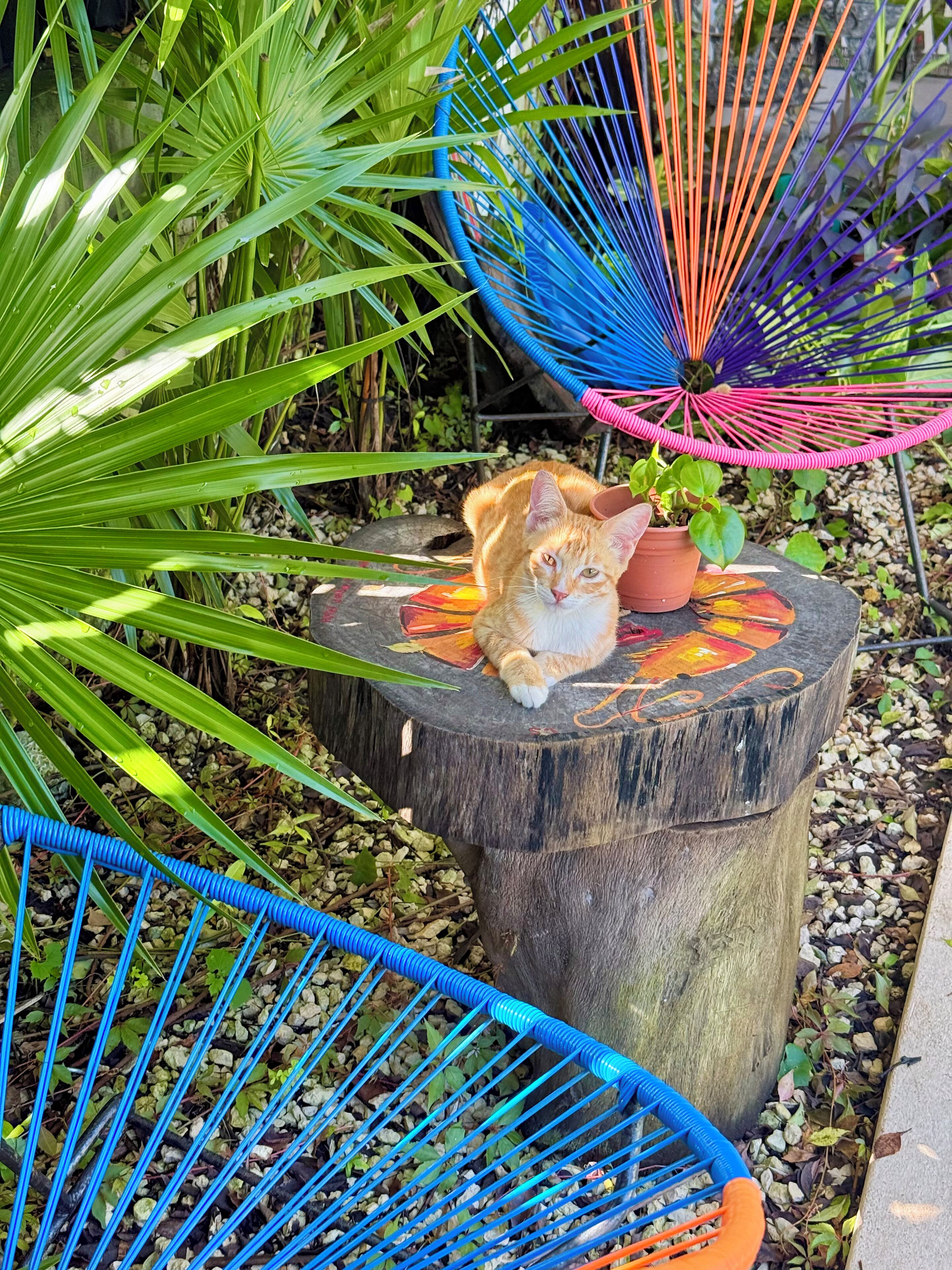 Superior Room, Balcony, Pool View | Ruang tamu | Lantai dipanaskan 