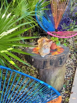 Superior Room, Balcony, Pool View | Living area | Heated floors - Hotel Jaiba Mahahual (Mahahual)