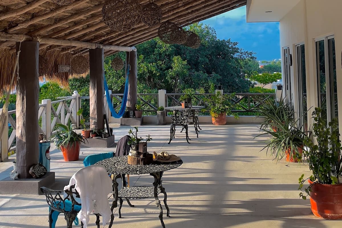 Un espace extérieur aménagé en terrasse, doté d’un toit de chaume, de plantes en pot et de mobilier de jardin.