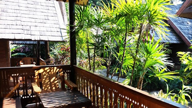 Um deck de madeira com guarda-corpo, rodeado por vegetação tropical exuberante.