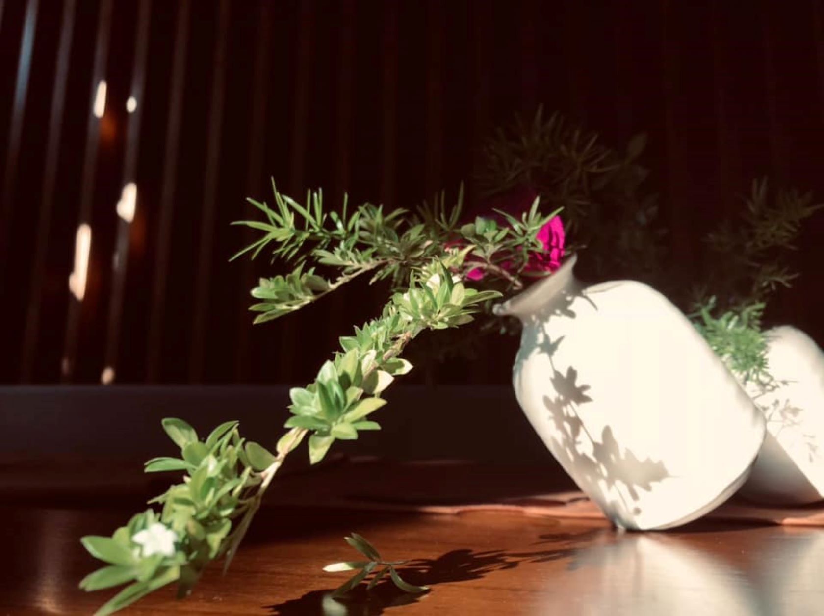 breakfast, lunch, dinner served; vegan cuisine