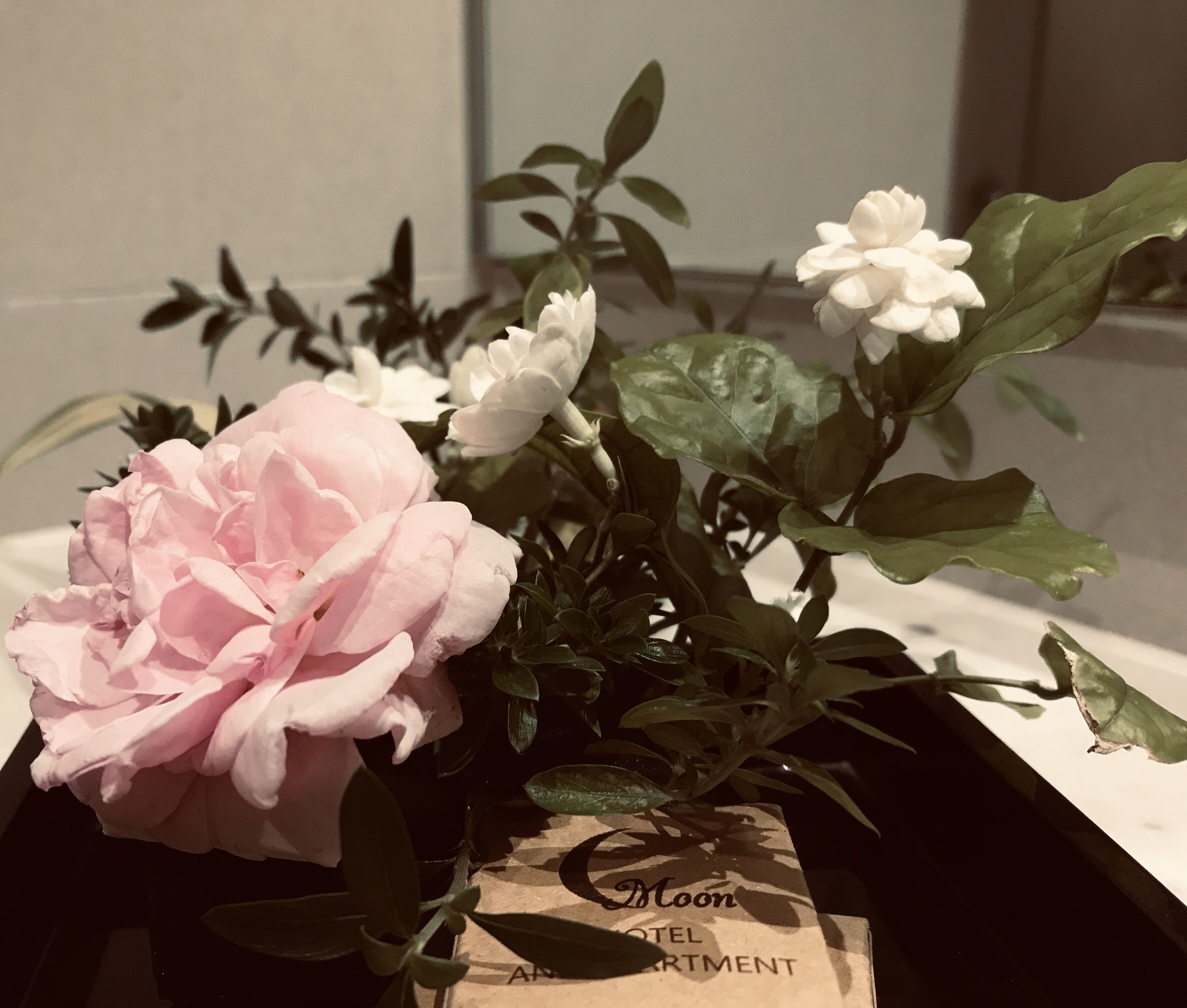 peaceful apartment | bathroom | shower, rainfall showerhead, free toiletries, hair dryer