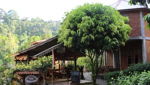 Unclassified image, 4 of 18, button - Bukit Lawang Accommodation (Bohorok)