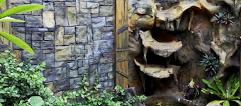 Bukit Lawang Accommodation