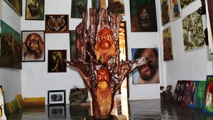 Unclassified image, 3 of 18, button - Bukit Lawang Accommodation (Bohorok)