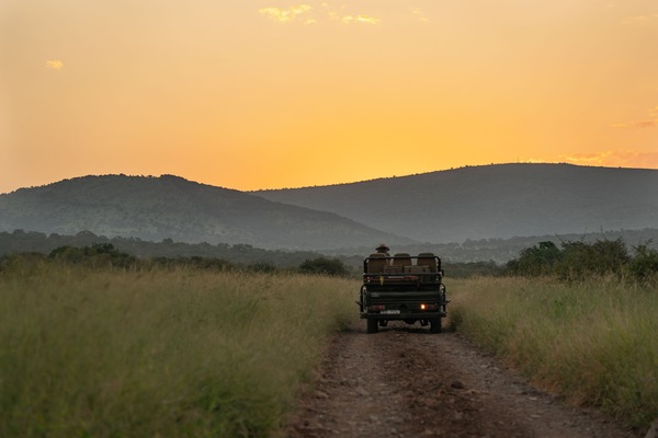 Game drive