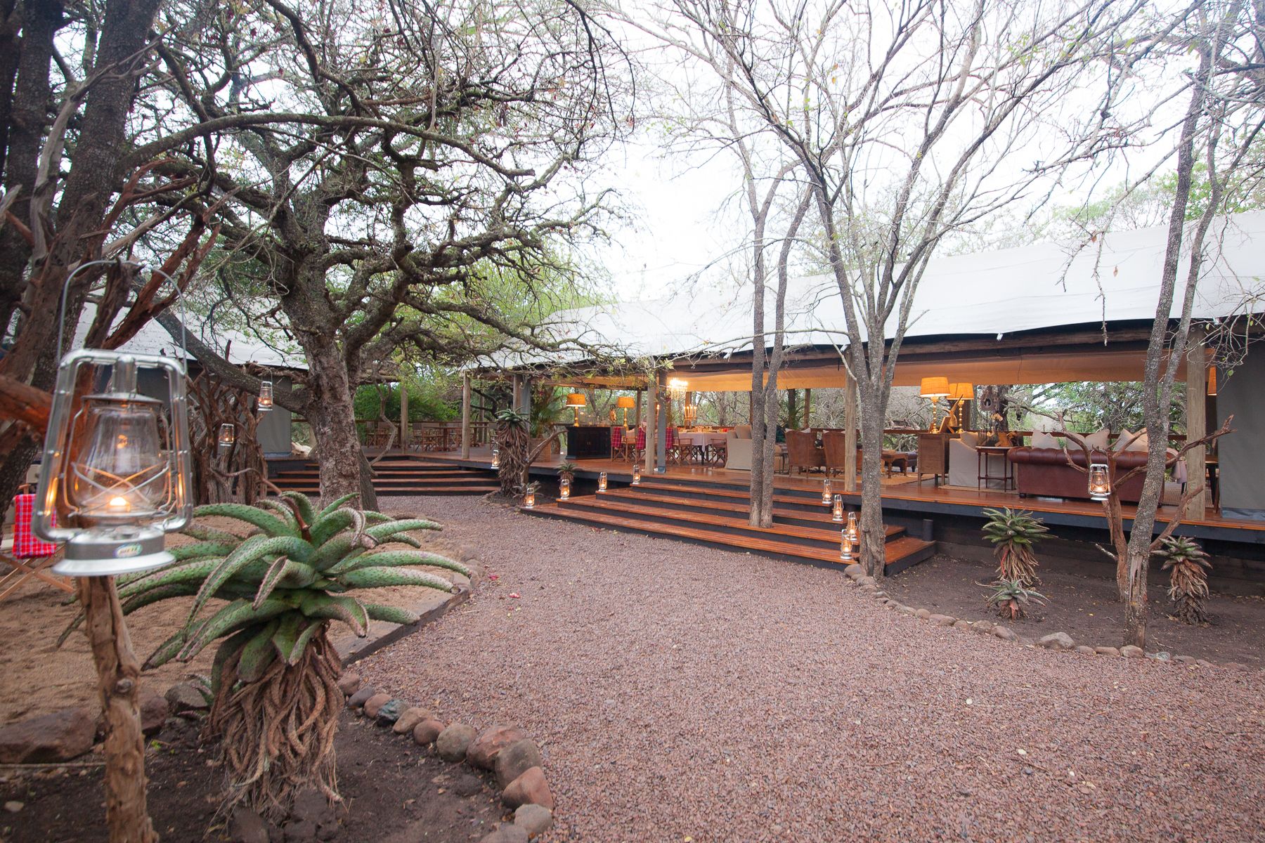An outdoor patio area with wooden steps leading to a covered seating area, surrounded by trees and plants.