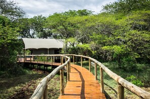 Tente Luxe (Tent 2) | Extérieur