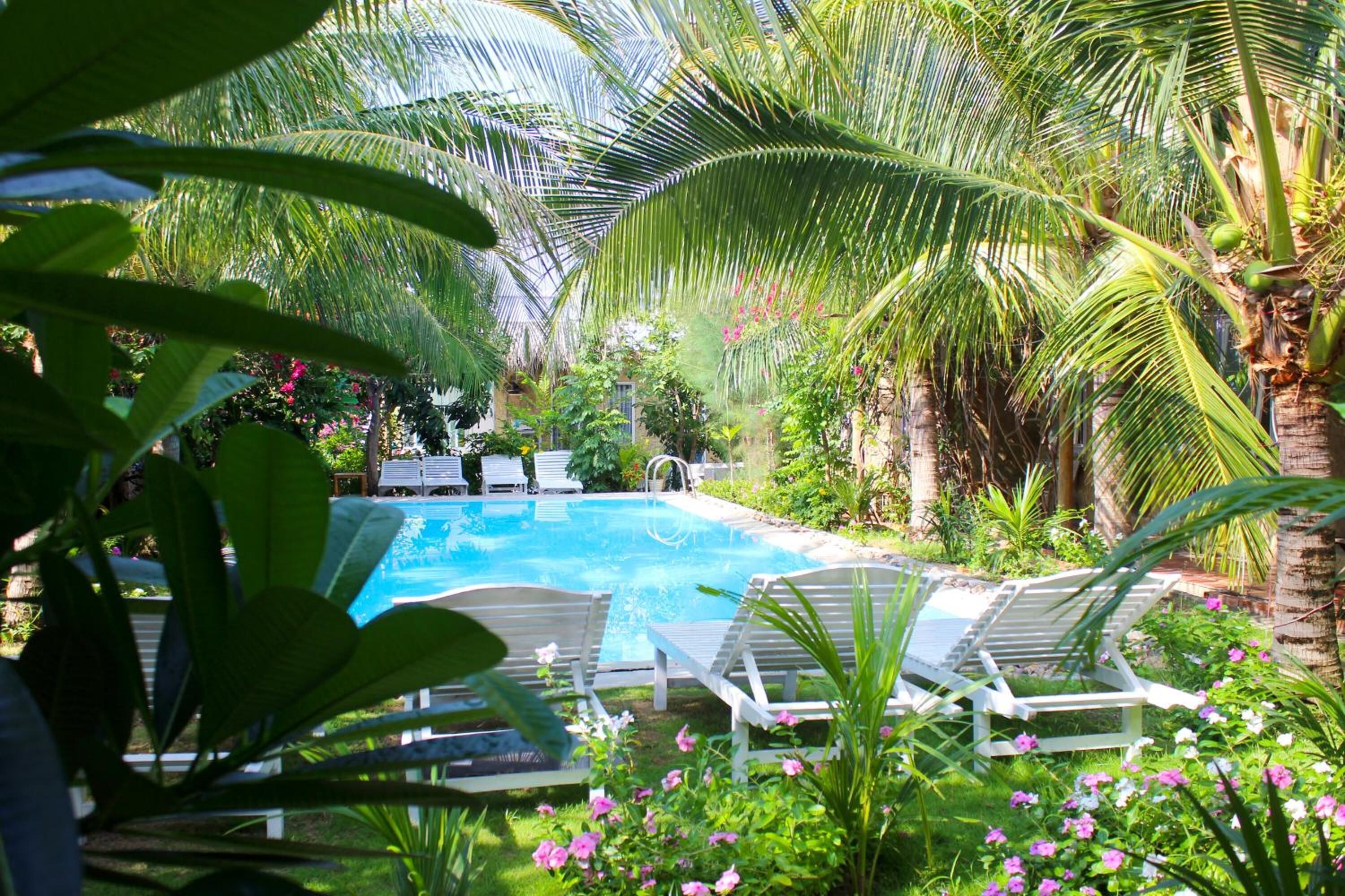 A pool surrounded by palm trees and lounge chairs.