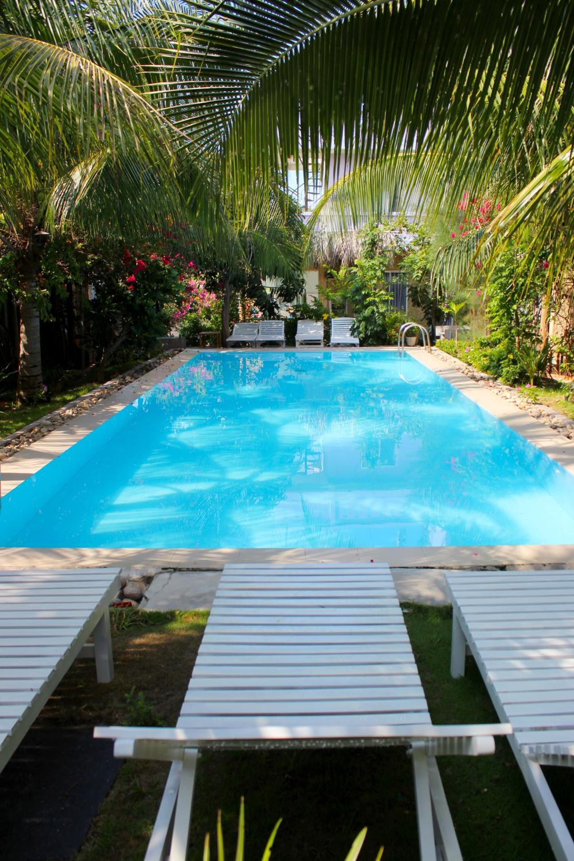 A rectangular swimming pool with clear blue water, surrounded by white lounge chairs and palm trees.