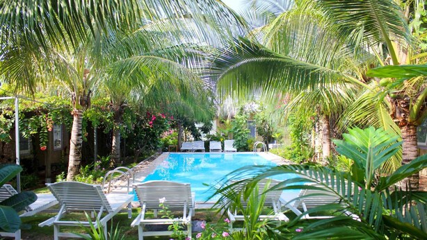 Un área de piscina con sillones de descanso, palmeras y plantas tropicales.