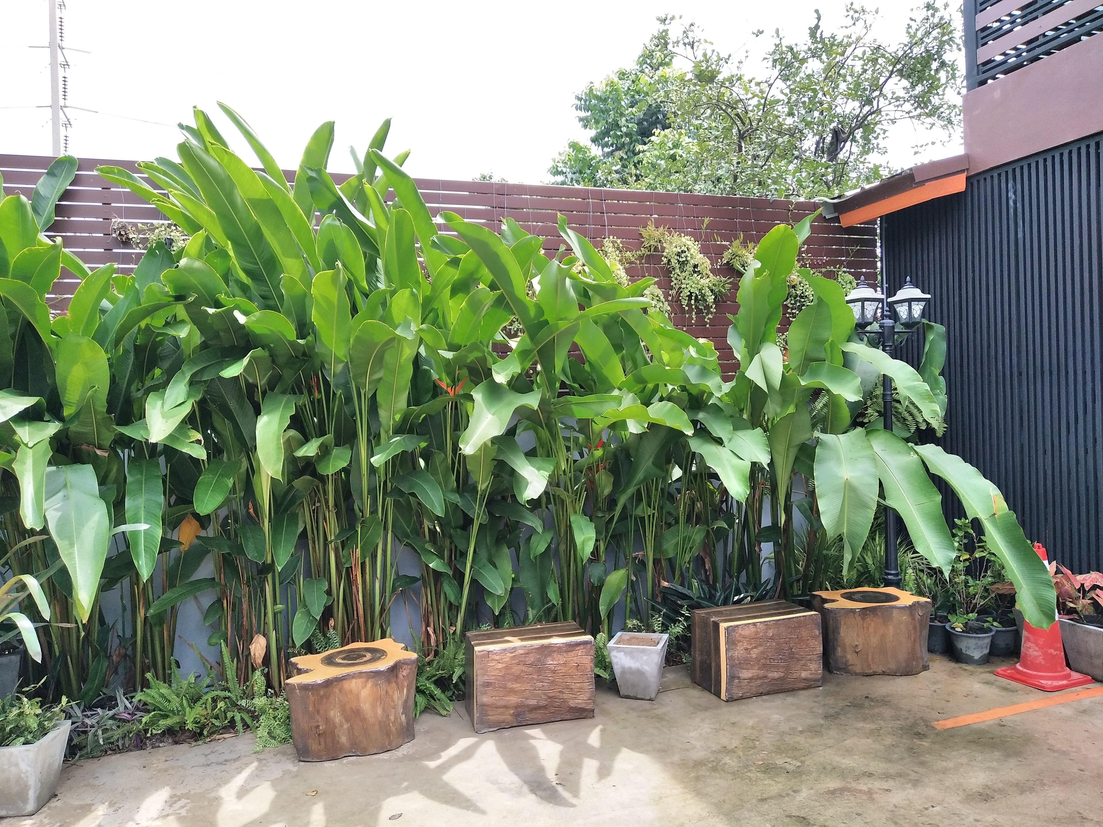 บริเวณที่พัก