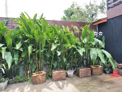 Rossarin Garden Resort 2