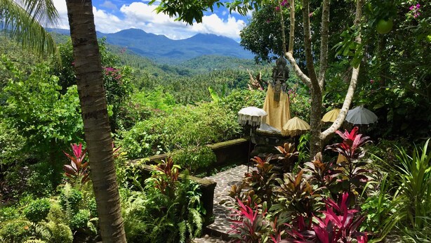 A lush garden with a stone pathway, tropical plants, and a view of distant mountains. - Gunung Paradis Retreat (Seririt)