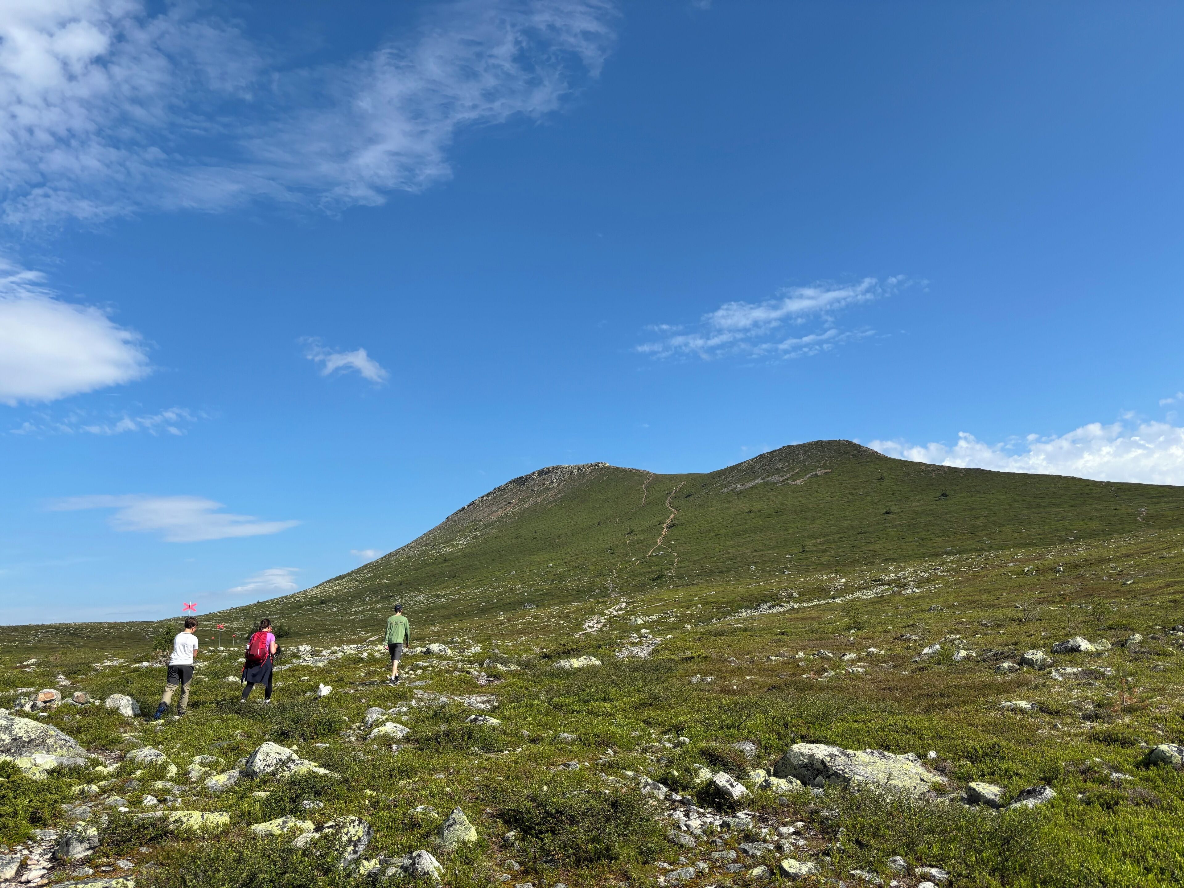A grassy hill with a clear sky.