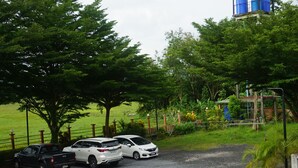 A parking area with two cars, a fence, and trees. - Thapap Resort (Trang)